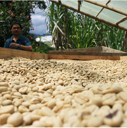 Decaf Colombia Excelso – The Coffee Ride Coffee Roasting Co.