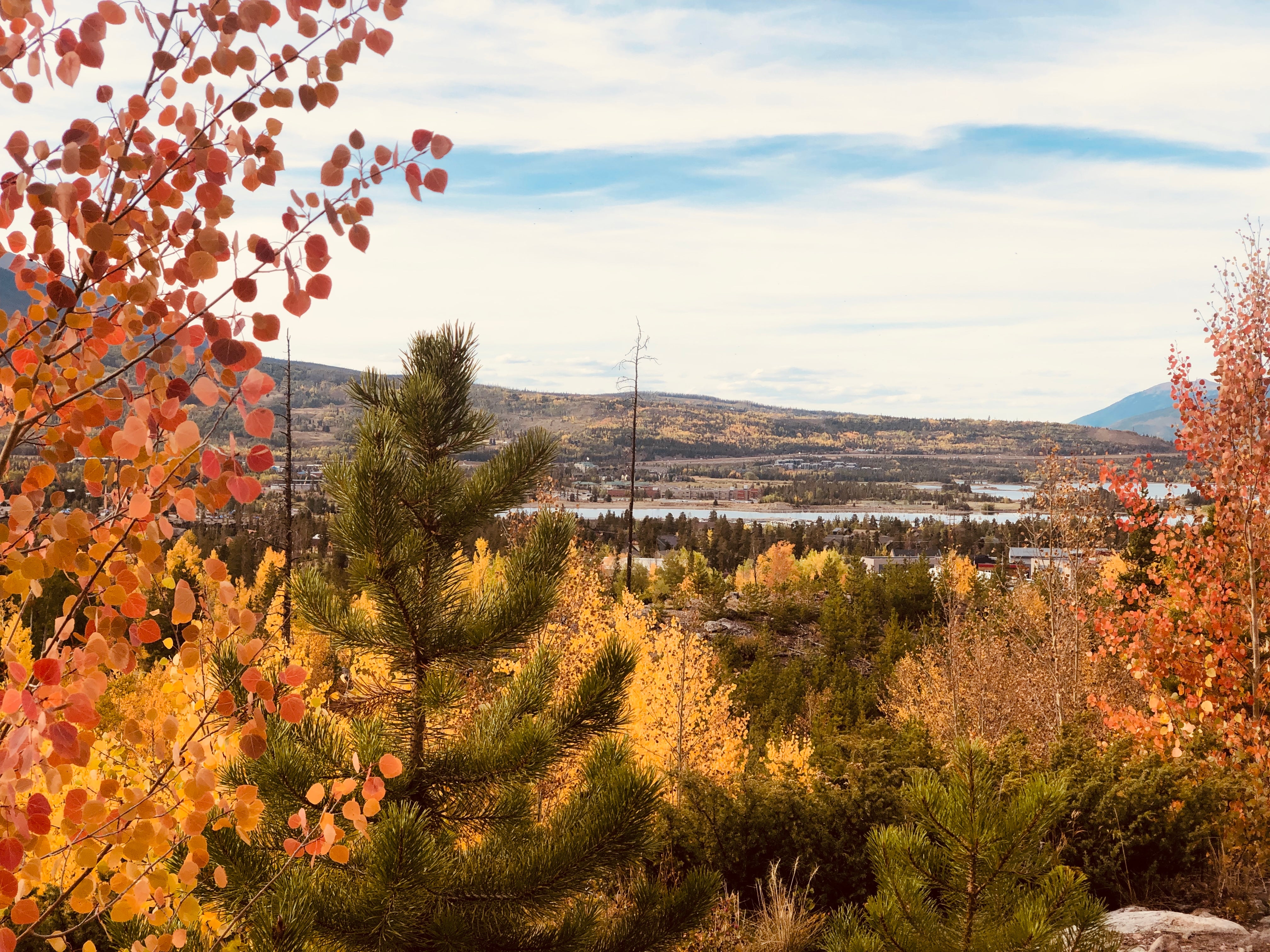 Leaf Peepin - A Fall Blend