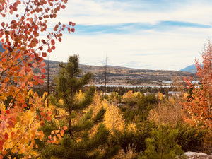 Leaf Peepin - A Fall Blend