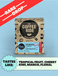Nicaragua La Bastilla Natural GEISHA