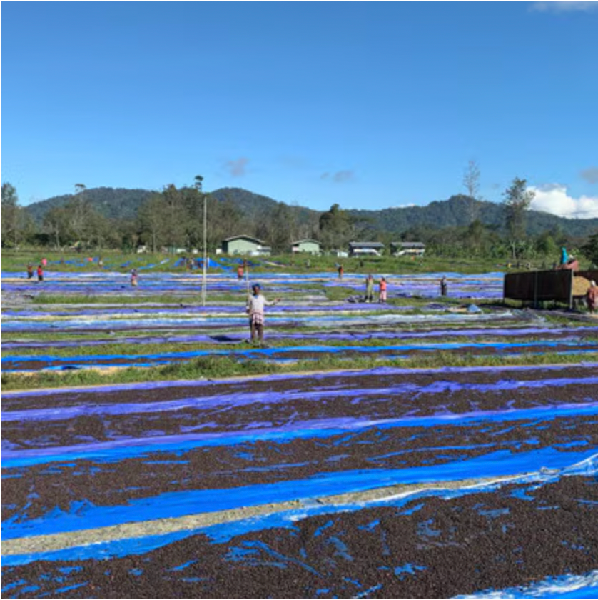Papua New Guinea - Lahamenegu Red Mountain
