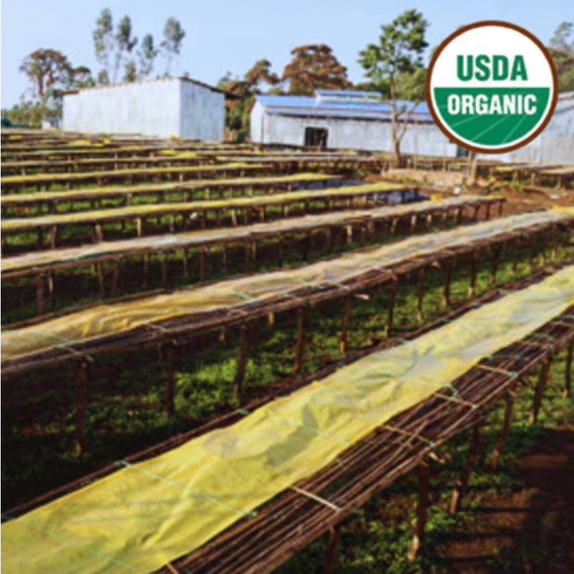 Ethiopia Guji Uraga Organic