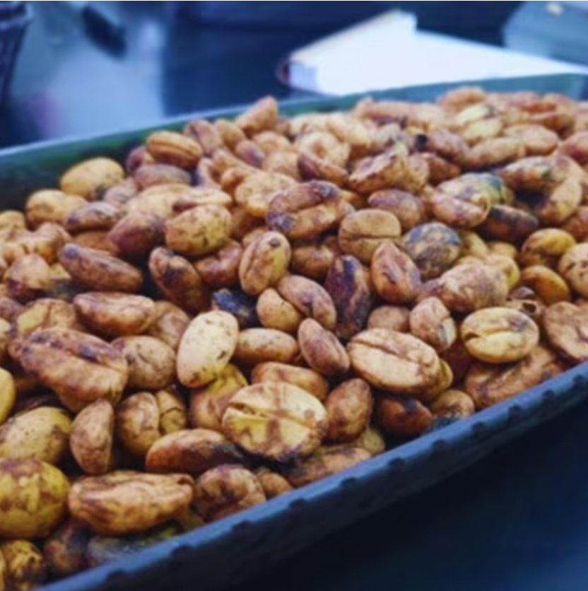 COLOMBIA ASOBOMBO ORGANIC HUILA From The Coffee Ride – The Coffee