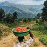 Uganda Rwenzori Kasese