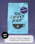 Nicaragua Geisha (la Bastilla farm)
